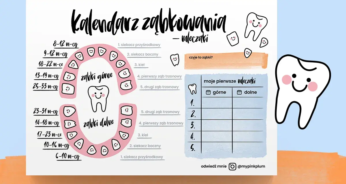 Uroczy kalendarz ząbkowania mleczaków z uśmiechniętymi ząbkami i tabelką do uzupełniania.