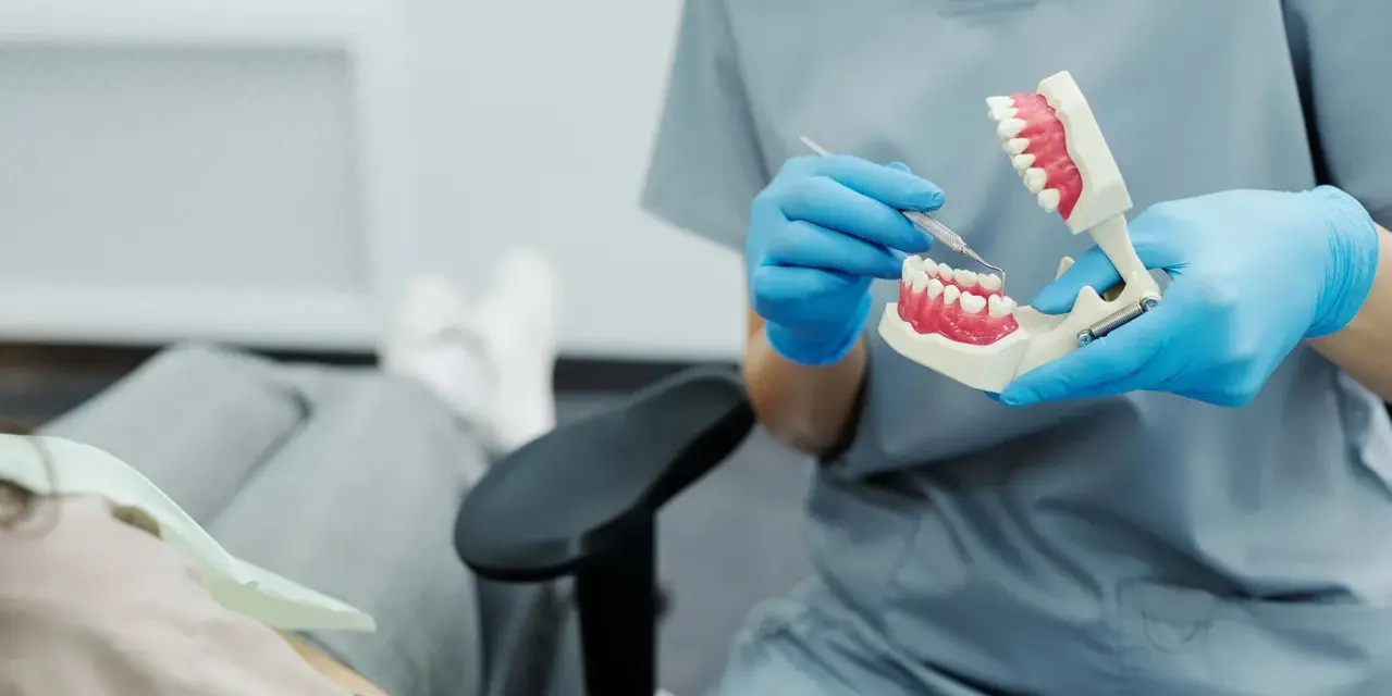 Dentysta w niebieskich rękawiczkach pokazuje na modelu, jak dbać o zęby, by uniknąć bólu dziąseł z tyłu.
