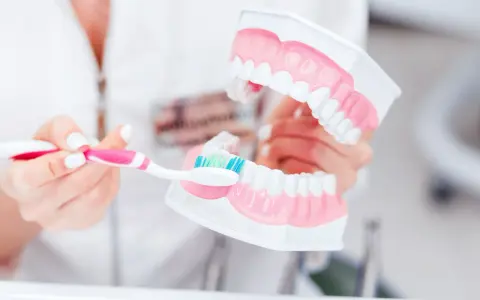 Dentyści pokazują na modelu, jak prawidłowo myć zęby, by uniknąć zbyt długiego mycia.