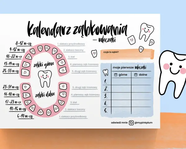 Uroczy kalendarz ząbkowania mleczaków z uśmiechniętymi ząbkami i tabelką do uzupełniania.