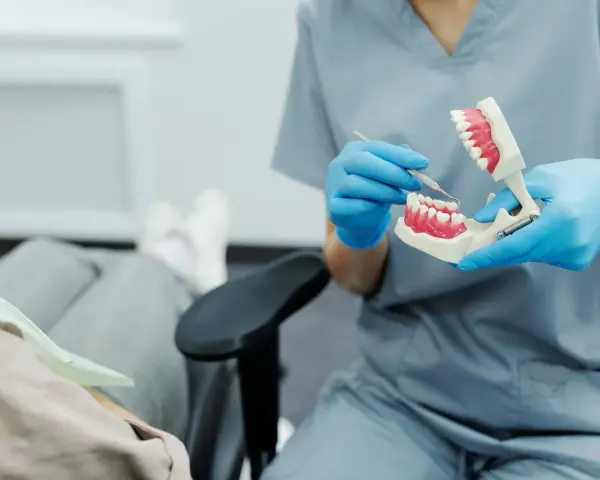 Dentysta w niebieskich rękawiczkach pokazuje na modelu, jak dbać o zęby, by uniknąć bólu dziąseł z tyłu.