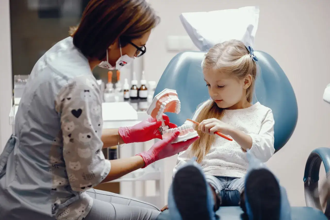 Dentystka pokazuje dziecku, ile czasu rośnie ząb stały, używając modelu szczęki.