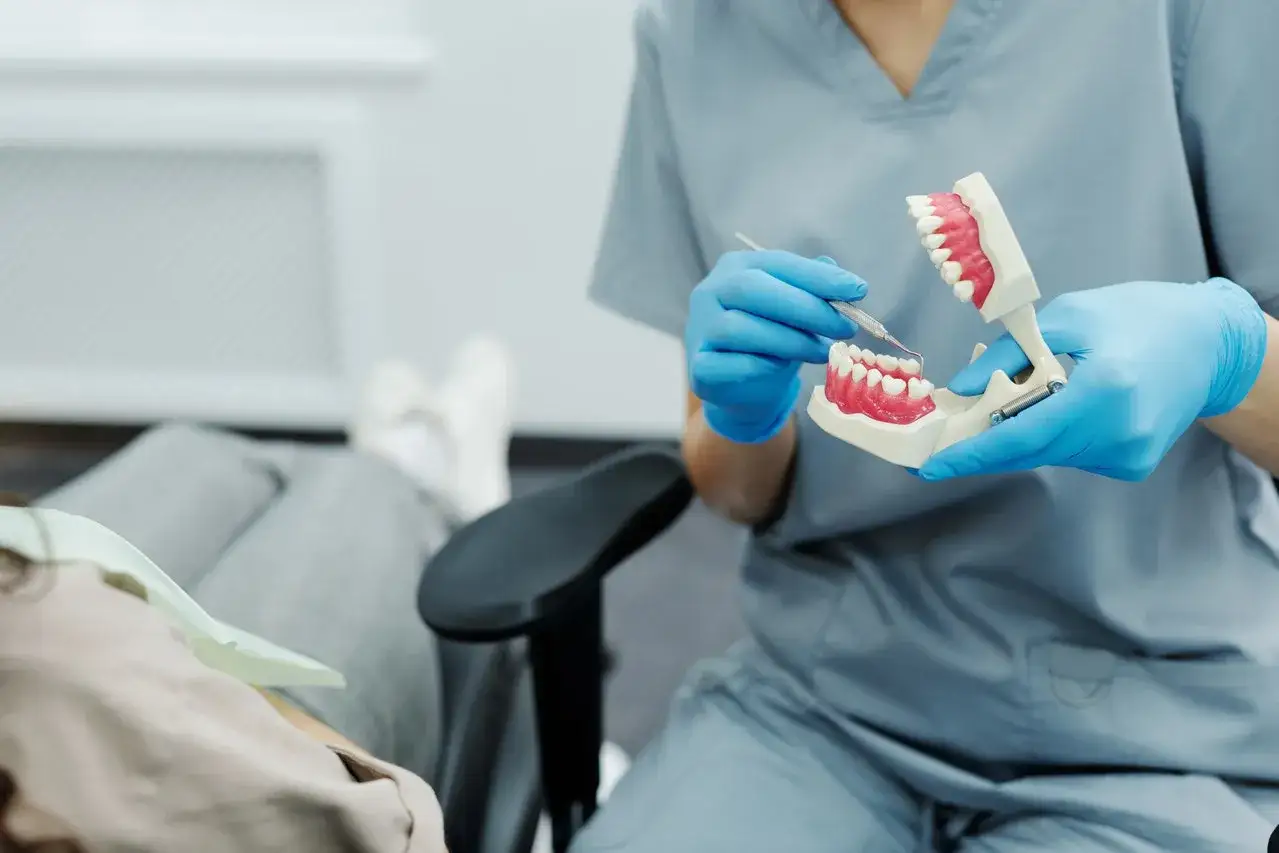 Dentysta pokazuje na modelu, jak dbać o higienę jamy ustnej, by uniknąć problemów z zębami, w tym z gnijącą ósemką.