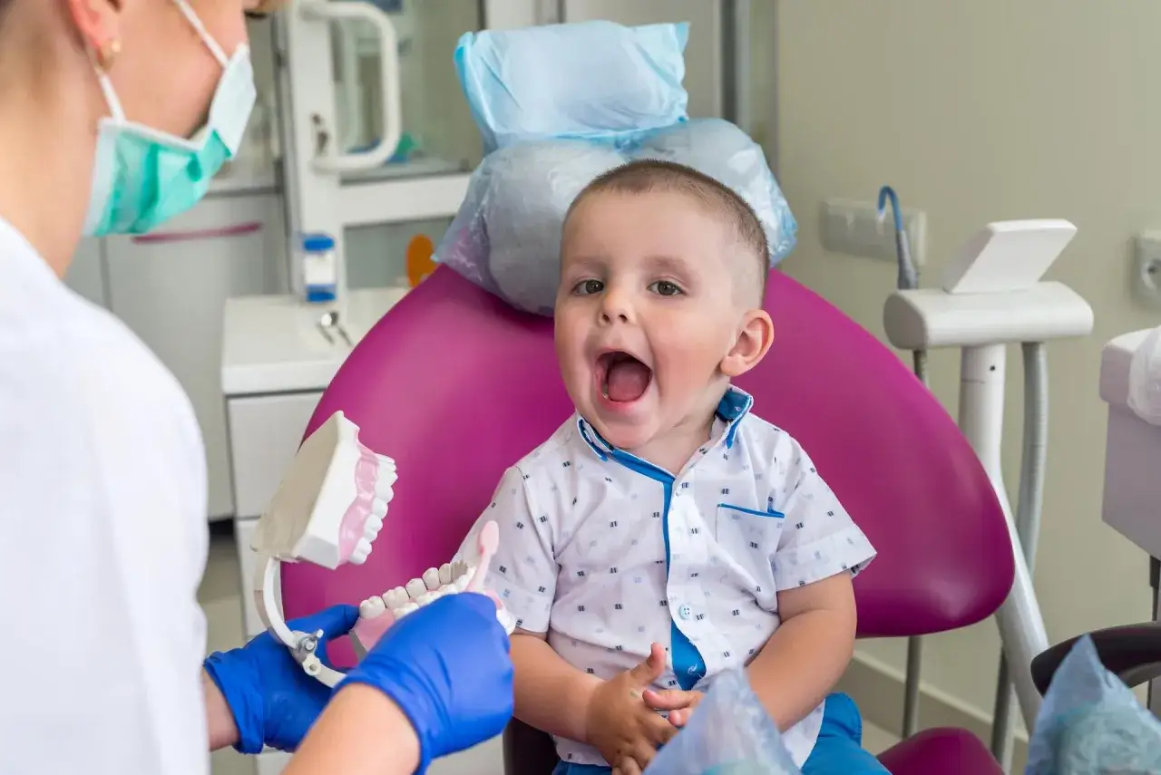 Mały chłopiec siedzi na fotelu dentystycznym, a dentystka pokazuje mu model szczęki. Dziecko z zaciekawieniem patrzy, jakby zastanawiało się, ile czasu rośnie ząb stały.